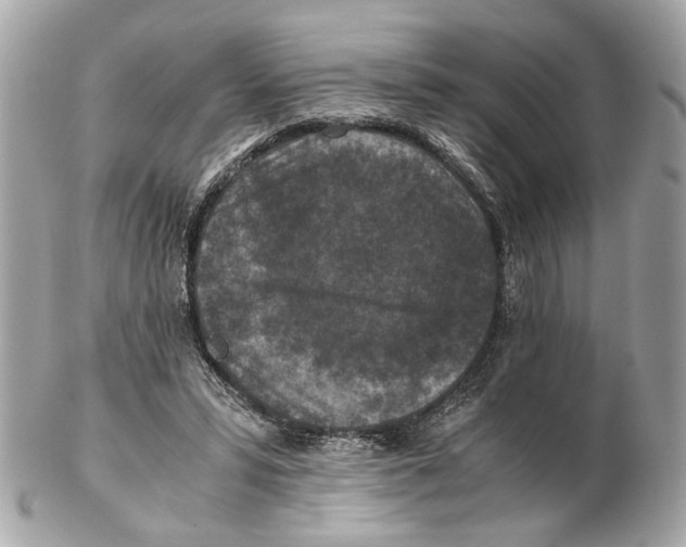 X0000102390399200808291428