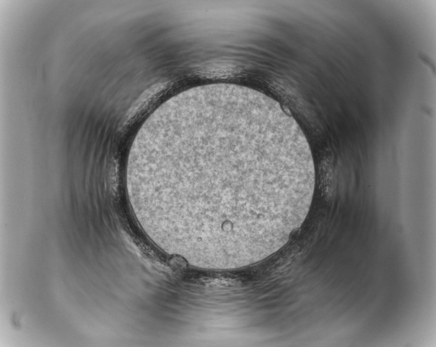 X0000102390400200808291428