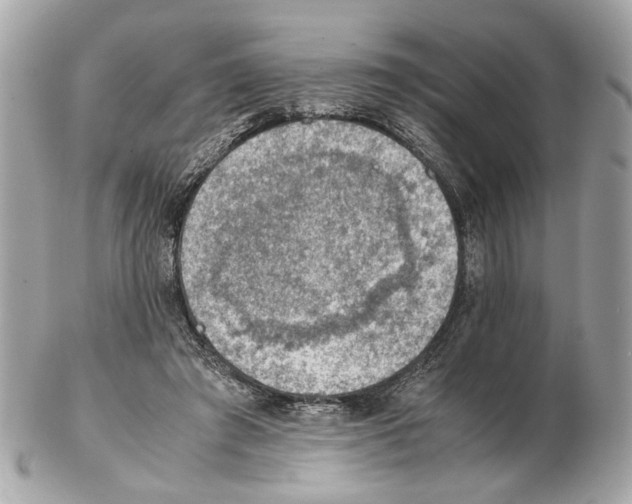 X0000102390401200808291428