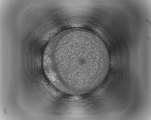 X0000102390402200808291428