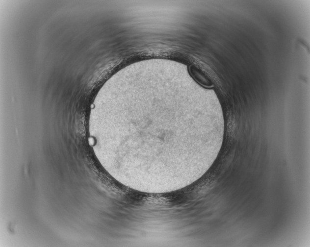 X0000102390403200808291428