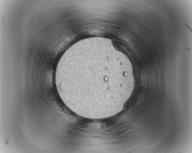 X0000102390404200808291428