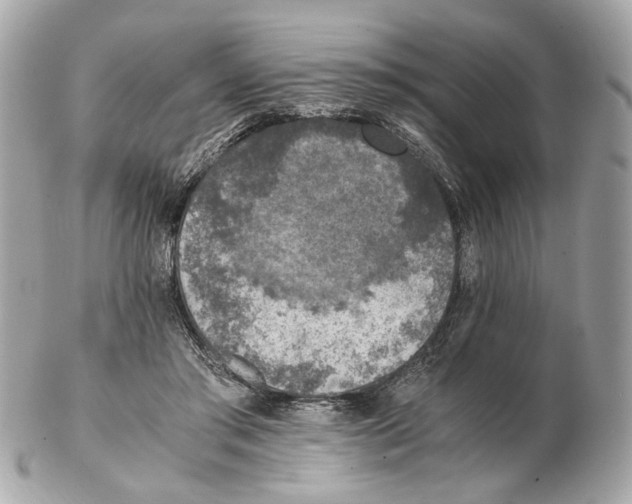 X0000102390405200808291428