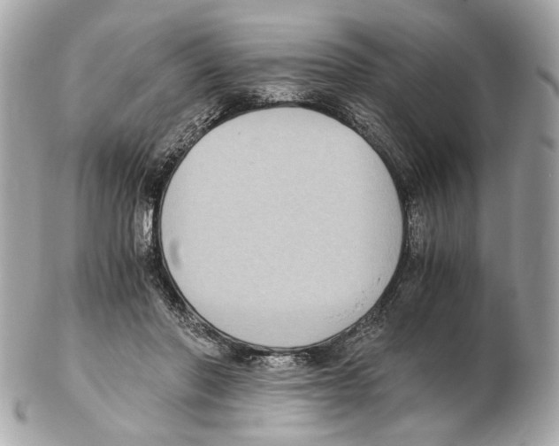 X0000102390406200808291428