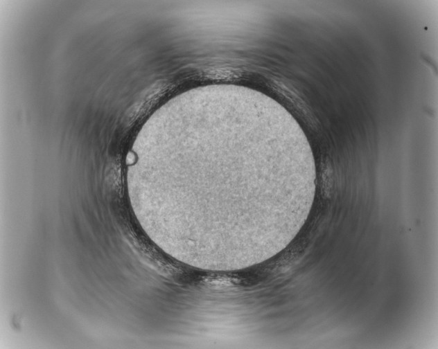 X0000102390407200808291428