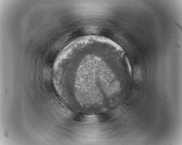 X0000102390409200808291428