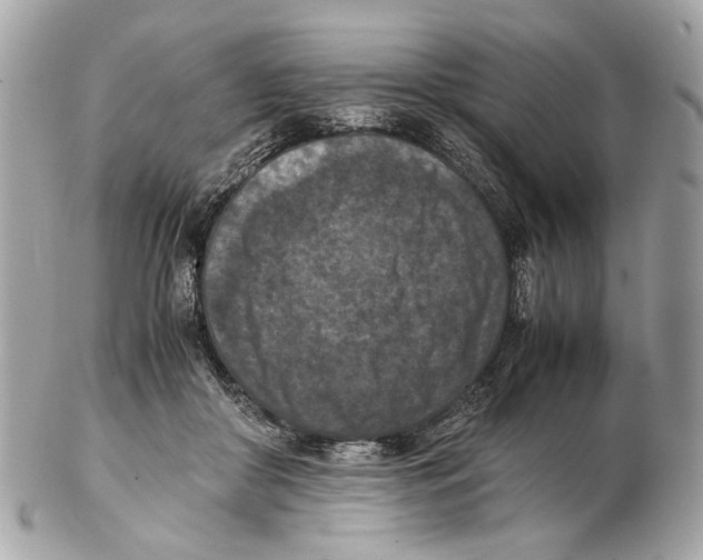 X0000102390410200808291428