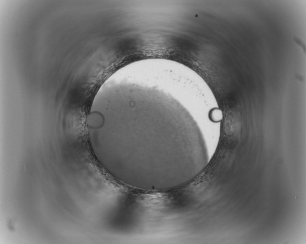 X0000102390411200808291428
