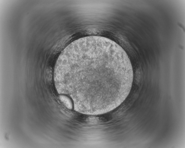 X0000102390413200808291428