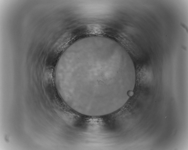 X0000102390415200808291428