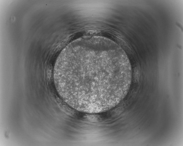 X0000102390417200808291428
