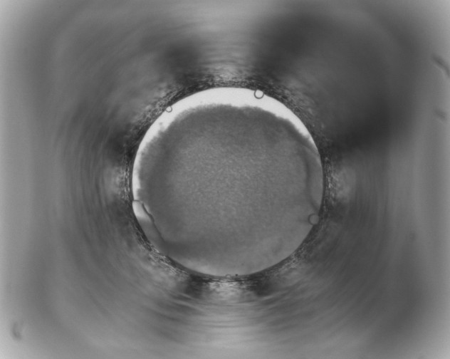 X0000102390419200808291427