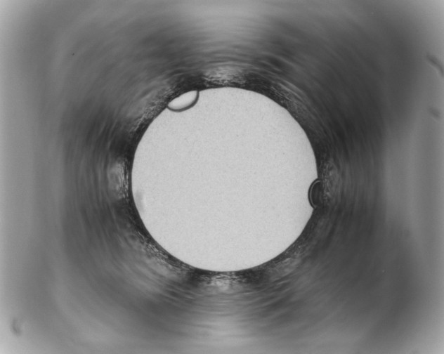 X0000102390420200808291427