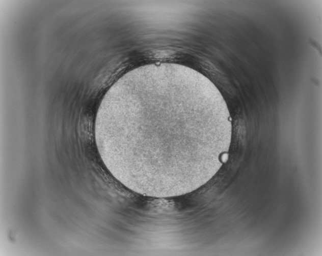 X0000102390421200808291427