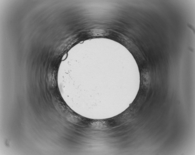 X0000102390422200808291427