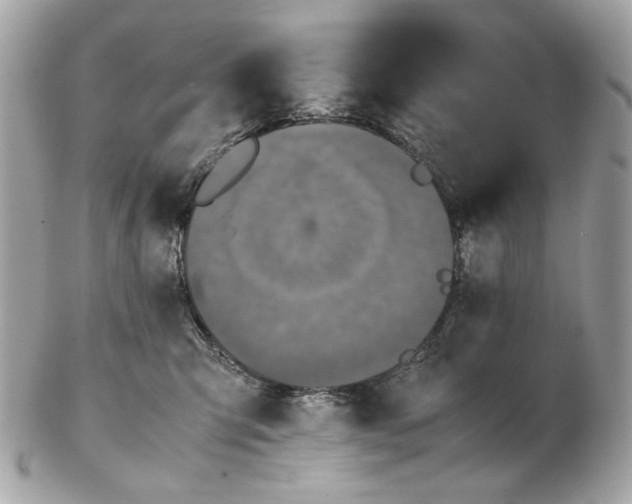 X0000102390423200808291427