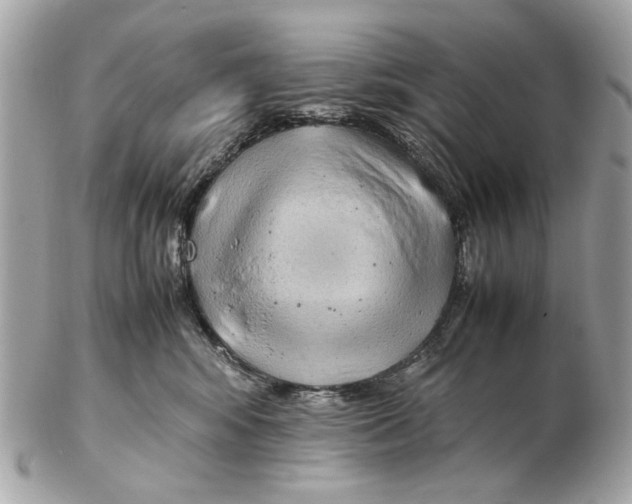 X0000102390424200808291427