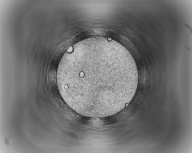 X0000102390425200808291427