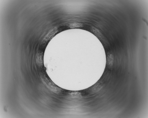 X0000102390426200808291427