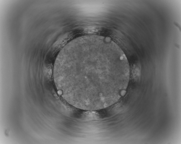 X0000102390427200808291427