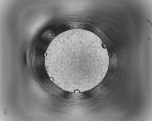 X0000102390429200808291427