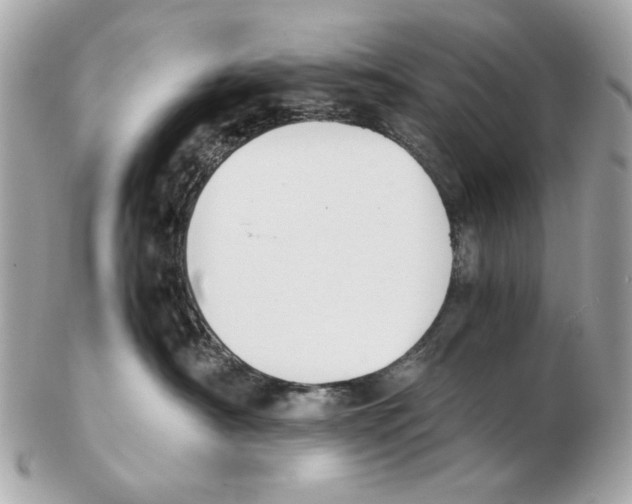 X0000102390430200808291427
