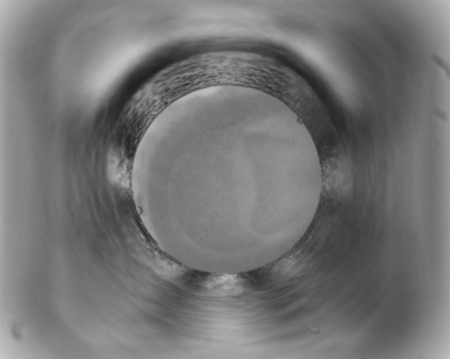 X0000102390431200808291427