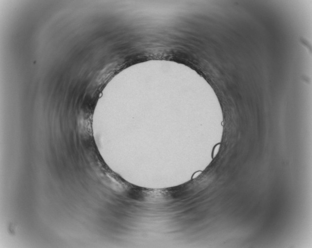 X0000102390432200808291427