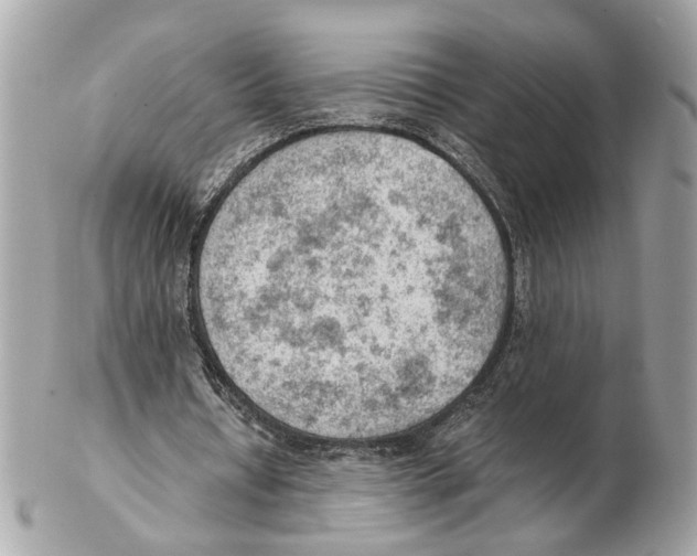 X0000102390434200808291427