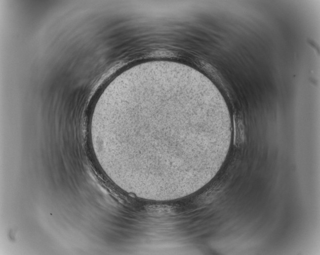 X0000102390435200808291427