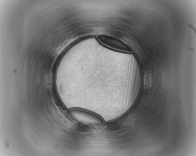 X0000102390436200808291427