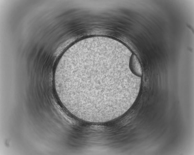 X0000102390437200808291427
