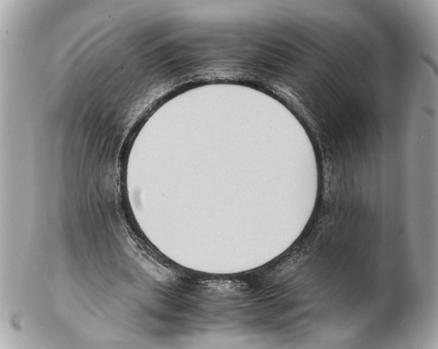 X0000102390439200808291427