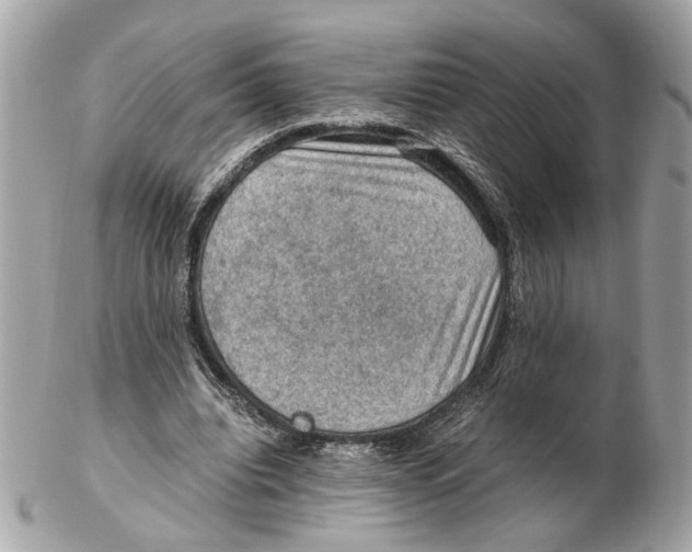 X0000102390440200808291427