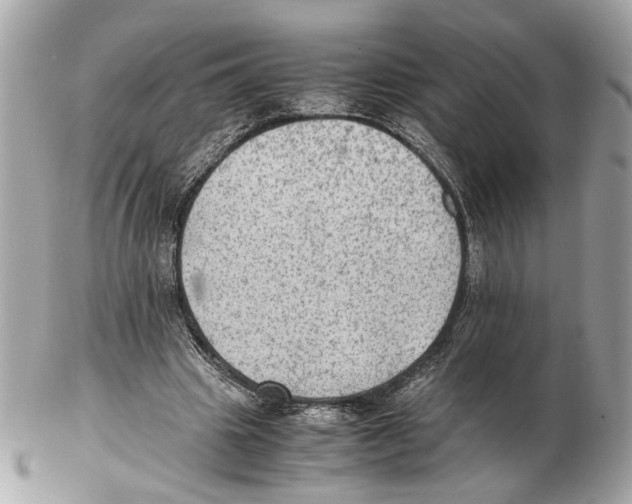 X0000102390441200808291427