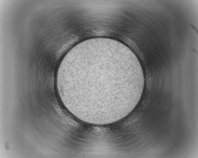 X0000102390442200808291427