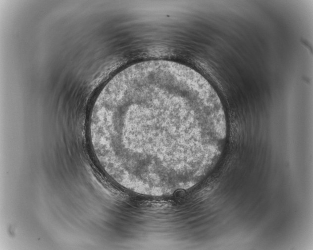 X0000102390443200808291427