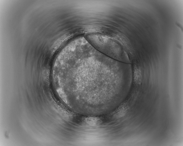 X0000102390444200808291427