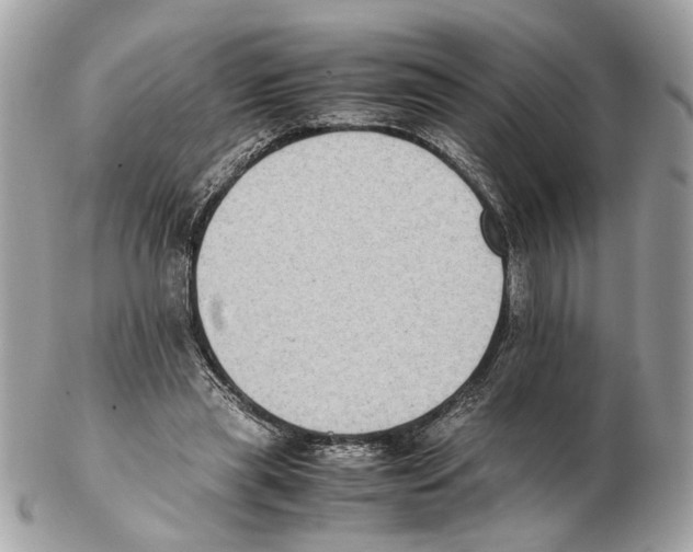 X0000102390445200808291427