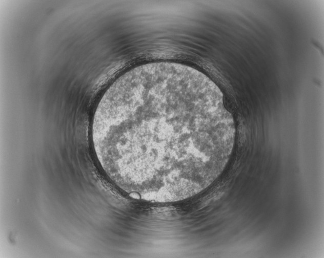 X0000102390446200808291427