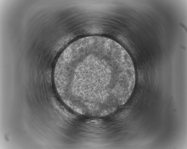 X0000102390447200808291427
