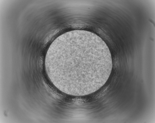 X0000102390448200808291427