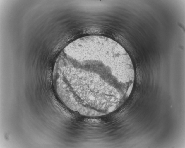X0000102390449200808291427