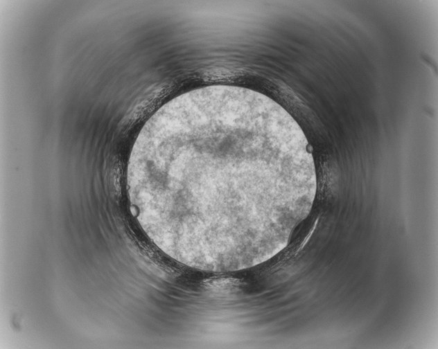 X0000102390452200808291427