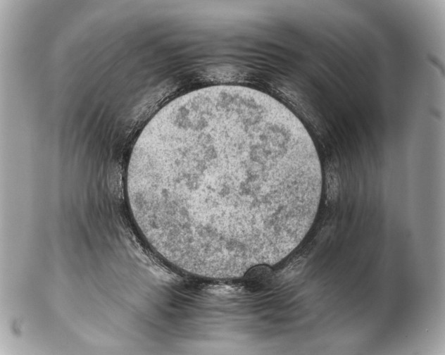 X0000102390453200808291427