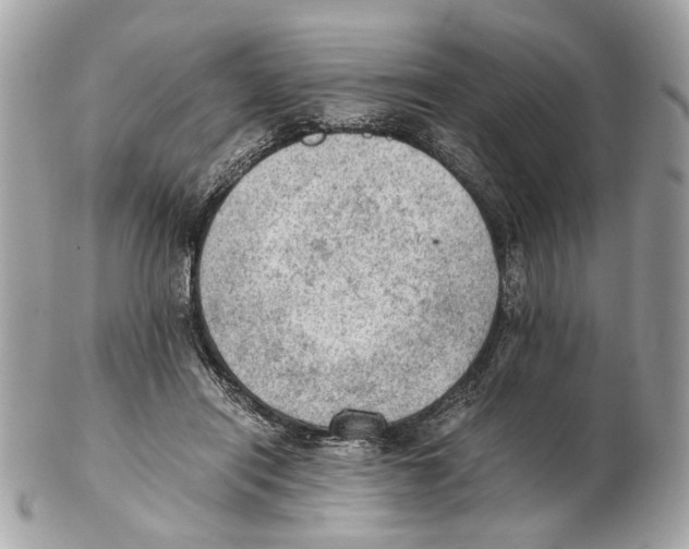 X0000102390454200808291427