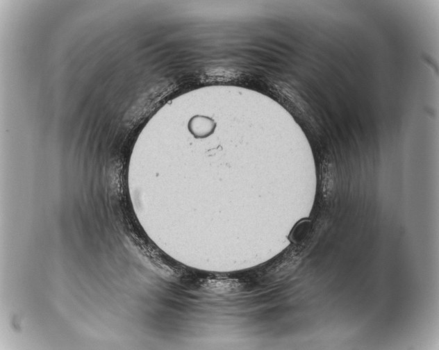 X0000102390455200808291427