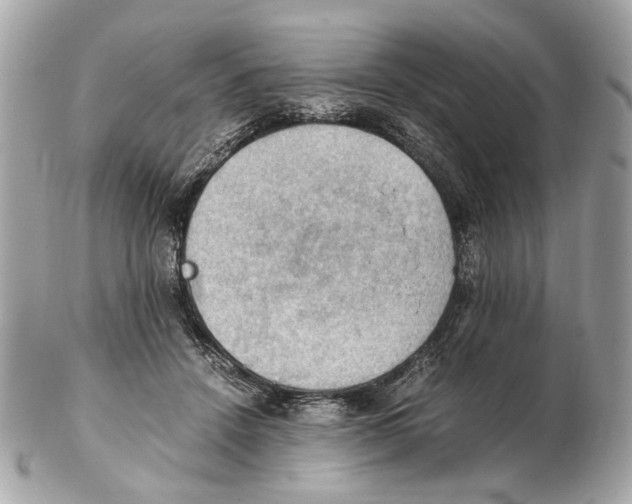 X0000102390456200808291427