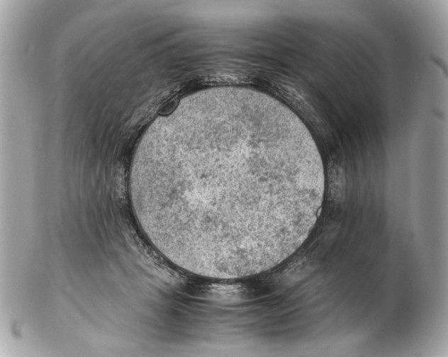X0000102390457200808291427