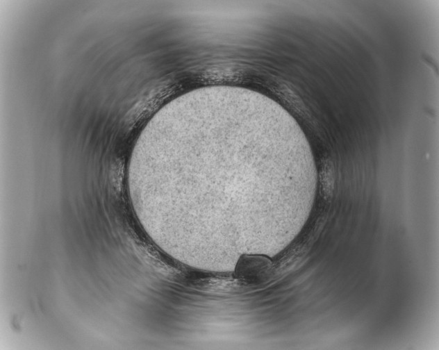 X0000102390458200808291427